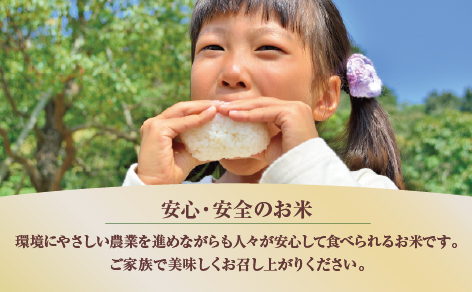 JAかとり直送 コシヒカリ 精米10kg（5kg×2）千葉県産 令和7年産 神崎町【千葉県神崎町ふるさと納税】