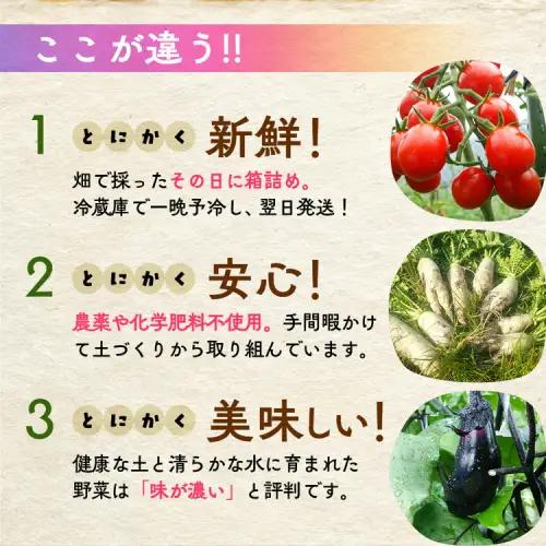 【4回定期便】＜アスカ有機農園＞旬の京野菜セットＳ 野菜