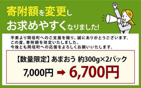 【寄附額改定↓】【予約受付】選べる大容量あまおう 600g 大粒 不揃い 選べる大容量あまおう （2L,グランデ,DX デラックス）減農薬 あまおう いちご 高級 いちごあまおう イチゴ 苺 フルーツ