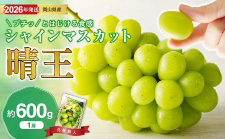 【2026年発送分 先行受付スタート！】岡山県産シャインマスカット「晴王」秀品　1房（約600g）（令和8年8月中旬～11月中旬頃発送）【シャインマスカット 晴王】hz-s