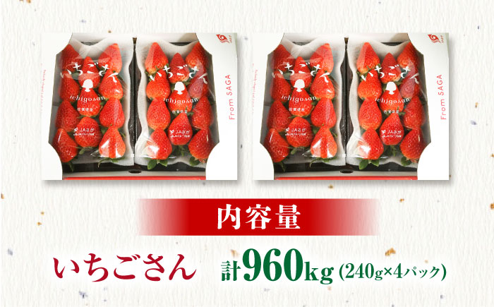 【2月〜3月発送】いちごさん 240g×4パック 【JAさが 杵島支所】 いちご 佐賀 [HAM087]