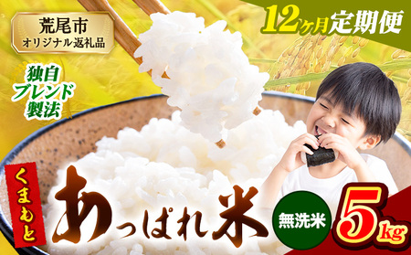 【12ヶ月定期便】 熊本県産 くまもとあっぱれ米 5kg  熊本県産 ふるさと納税 無洗米 精米 米 こめ ふるさとのうぜい コメ お米 おこめ《お申し込み月の翌月から出荷開始》