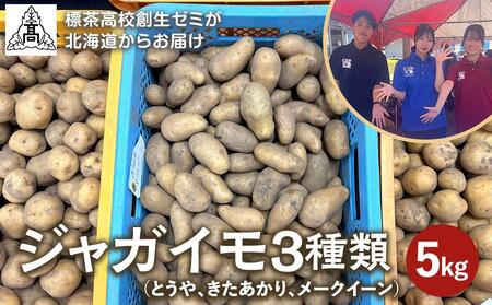 ＜標茶高校生から愛を込めて万能野菜のじゃがいもをお届けします＞ジャガイモ3種類　計5kg（とうや、きたあかり、メークイーン）【 野菜 じゃがいも とうや きたあかり メークイン 標茶高校創生ゼミ 標茶町 北海道 】