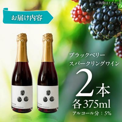 ふるさと納税 糸島市 2024年産 糸島産ブラックベリースパークリングワイン 375ml 2本セット  [AHM003] |  | 01