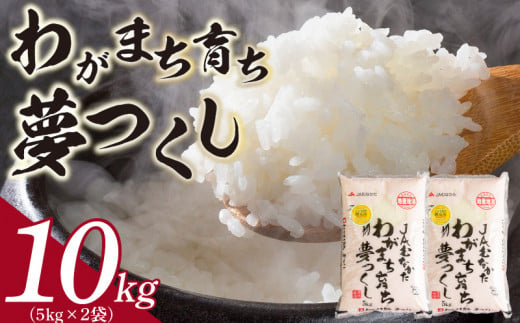 【令和6年産 新米】福岡産 夢つくし 5kg×2_米 お米 精米 福岡 限定生産 夢つくし 10kg 5kg×2 白米 ご飯 おにぎり 食品 ふっくら 甘い 粒がしっかり 南国フルーツ株式会社 お取り寄せ お取り寄せグルメ 福岡県 久留米市 送料無料_Gr020