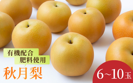 【先行予約】有機配合肥料使用 秋月梨 6玉から10玉 2025年8月下旬から9月上旬 出荷予定【春光園】 梨 なし 果物 フルーツ