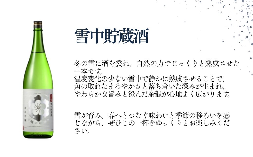 日本酒 純米吟醸 越の初梅 雪中貯蔵酒 720ml×2本 雪国でしか味わえない極上酒 新潟県 高の井酒造 【0002-0050-02】