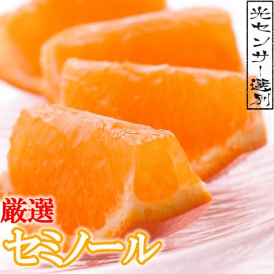＜4月より発送＞家庭用 セミノールオレンジ4.5kg+135g(傷み補償分)【光センサー】【訳あり】【配送不可地域：離島・北海道・沖縄】【1345409】
