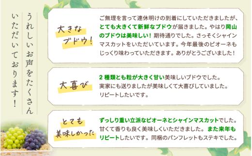 【2026年先行予約】 シャインマスカット&ニューピオーネ 1kg～1.5kg（2房） 2026年9月中旬～ 受付順に発送予定 贈答用にも 花笑み農園 ぶどう 岡山 真庭 ピオーネ 詰め合わせ 食べ比
