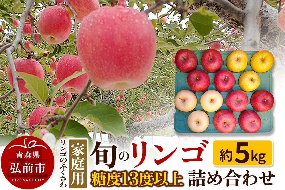 
                  【26年9月～発送】りんご 旬のリンゴ詰め合わせ【家庭用】約5kg 糖度13度以上 [アップル おいしい りんご 果実 果物 詰め合わせ 詰合 糖度 美味 林檎]
                