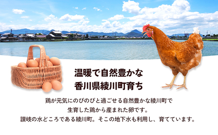 綾川のたまご（10個入り）6パック入り 食品 栄養 自然 澄んだ空気 きれいな水 ビタミンE 豊富 飼料 健康 生鮮食品 