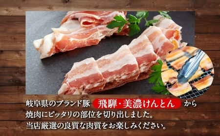 12カ月定期便 森本工房 森の焼肉 飛騨・美濃けんとん 4種 セット計1kg 各250g 焼肉 肉 お肉 豚肉 ブランド豚 ポーク 豚バラ スペアリブ ロース 肩ロース 食べ比べ 詰め合わせ BBQ 