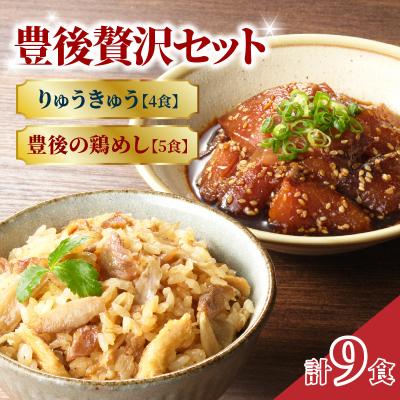 ふるさと納税 大分市 【父の日ギフト】豊後贅沢セット 豊後水道の朝獲れりゅうきゅう4食 豊後の鶏めし5食_E22031-C
