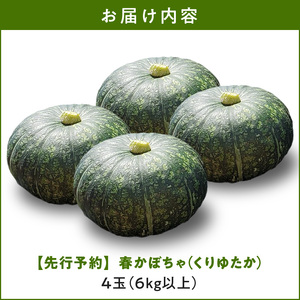 【 2025年 先行予約 】春かぼちゃ （ くりゆたか ）4玉（6kg以上） C062-003-02 野菜 やさい かぼちゃ カボチャ 南瓜 栗かぼちゃ 栗カボチャ 栗南瓜 レア 貴重 先行受付 先行