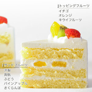 【 クリスマスケーキ 】 アレルギー対応 クリスマスケーキ 5号