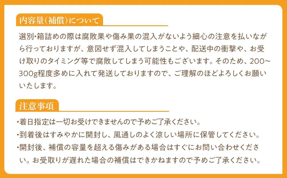 完熟 アルギット みかん 3kg M ～ L サイズ みかん