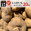 【ふるさと納税】訳あり 北海道産じゃがいも〈キタアカリ〉20kg［京極町］ 野菜 キタアカリ じゃがいも 北海道 20kg 料理　 北海道のジャガイモ 甘みが強い 生産者直送 　お届け：2024年10月～2025年3月下旬