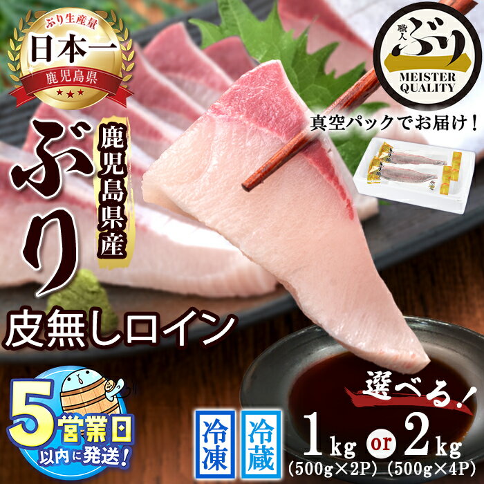 【ふるさと納税】＜すぐ届く！＞【配送方法・内容量が選べる！】鹿児島産ぶり 皮無ロイン (冷蔵 or 冷凍) (1kg以上 or 2kg以上)ぶり ブリ 鰤 魚 海鮮 魚介 刺身 さしみ 柵 しゃぶしゃぶ 焼魚 煮魚 ロイン 皮無し 半身 国産 鹿児島県産 【アクアブルー】
