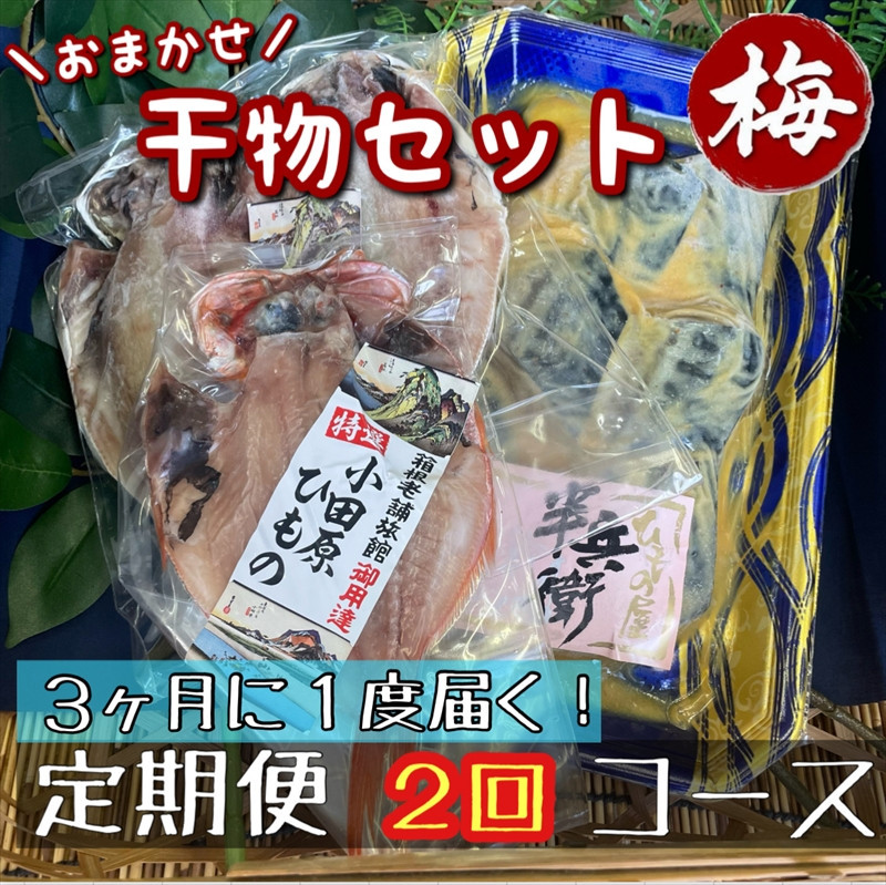 【3ヶ月に1回定期便2回】厳選！小田原の旬の干物セット 梅【 まぐろや 神奈川県小田原市 】 142069_DQ288