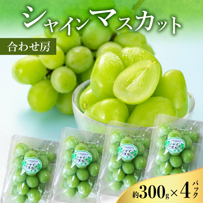 【ふるさと納税】【2026年8月より順次発送】 シャインマスカット 約300g×4パック（計約1200g） 合わせ房 若手農家応援 ぶどう ブドウ マスカット 果物 くだもの 旬のフルーツ 旬の果物 季節のフルーツ 季節の果物 静岡 浜松市　お届け：2026年8月21日～9月10日まで