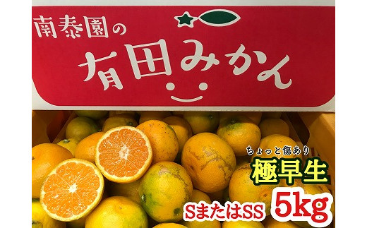 
ちょっと 傷あり 極早生 みかん 有田 Ｓ または SS サイズ 5kg 南泰園
