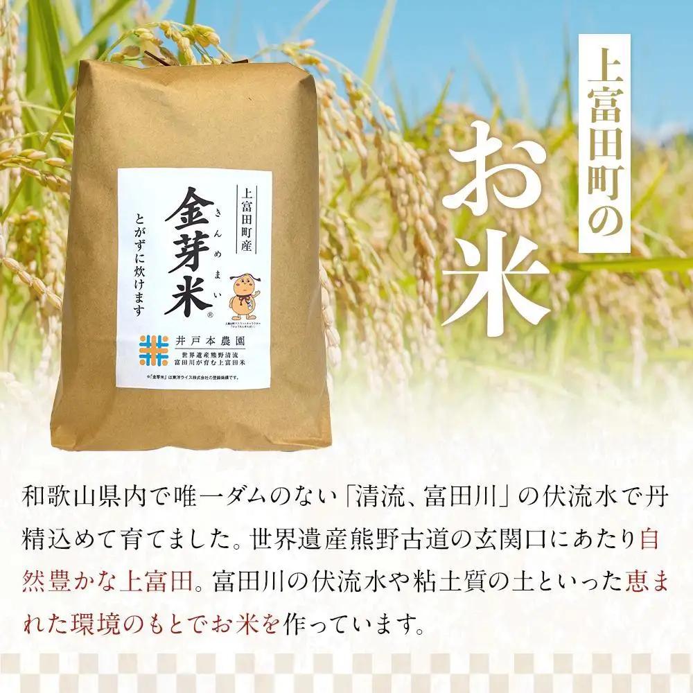 【 定期便 】令和7年産  上富田町産 金芽米 きぬむすめ 5kg × 3か月 井戸本農園