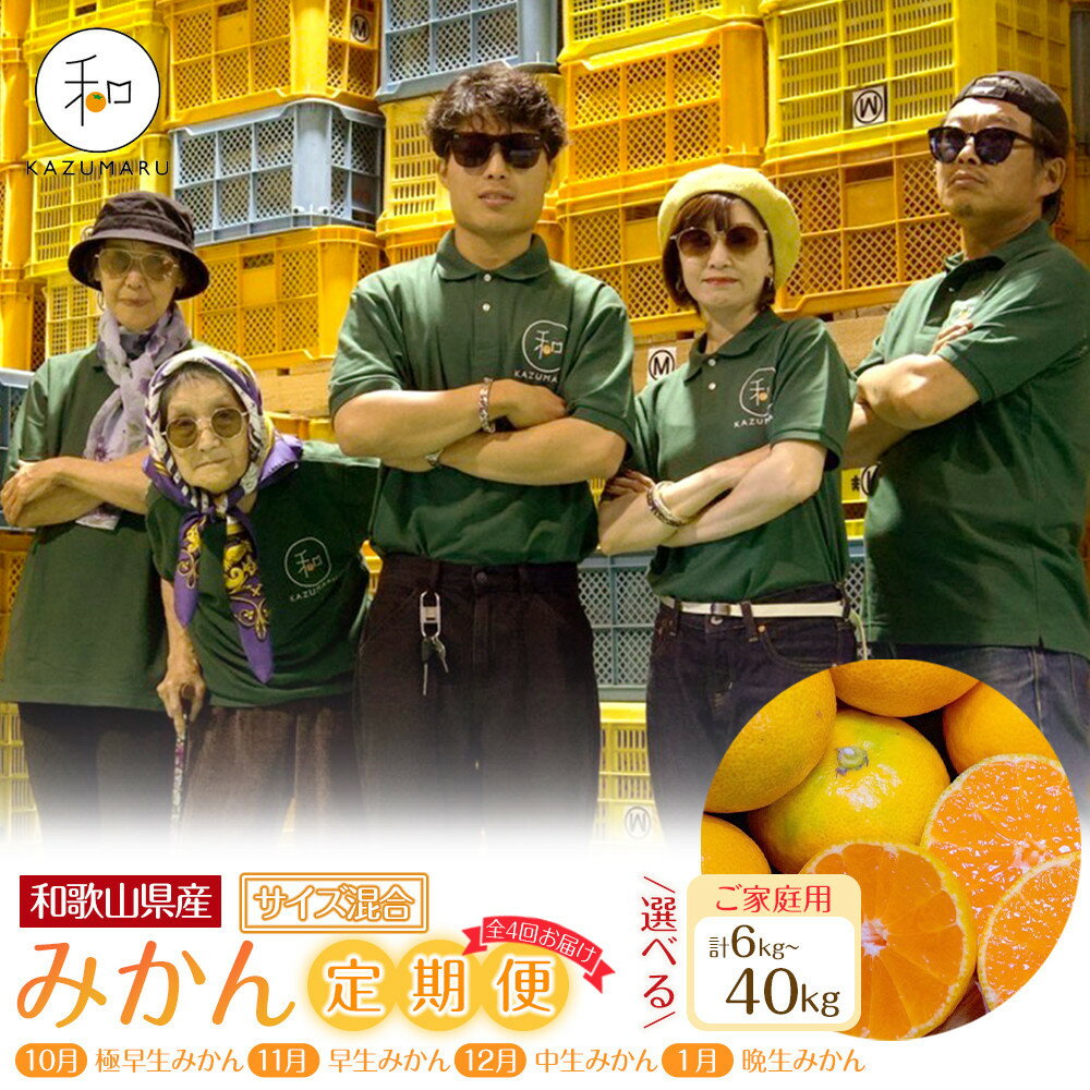 【ふるさと納税】［定期便・選べる容量］森本農園の手選別 家庭用みかん 約1.5kg～約10kg サイズ混合 和歌山県産 ［北海道・沖縄・離島配送不可］［2026年10月～2027年1月まで全4回お届け］ ［RN162］ | 柑橘 フルーツ 果物 食品 人気 送料無料