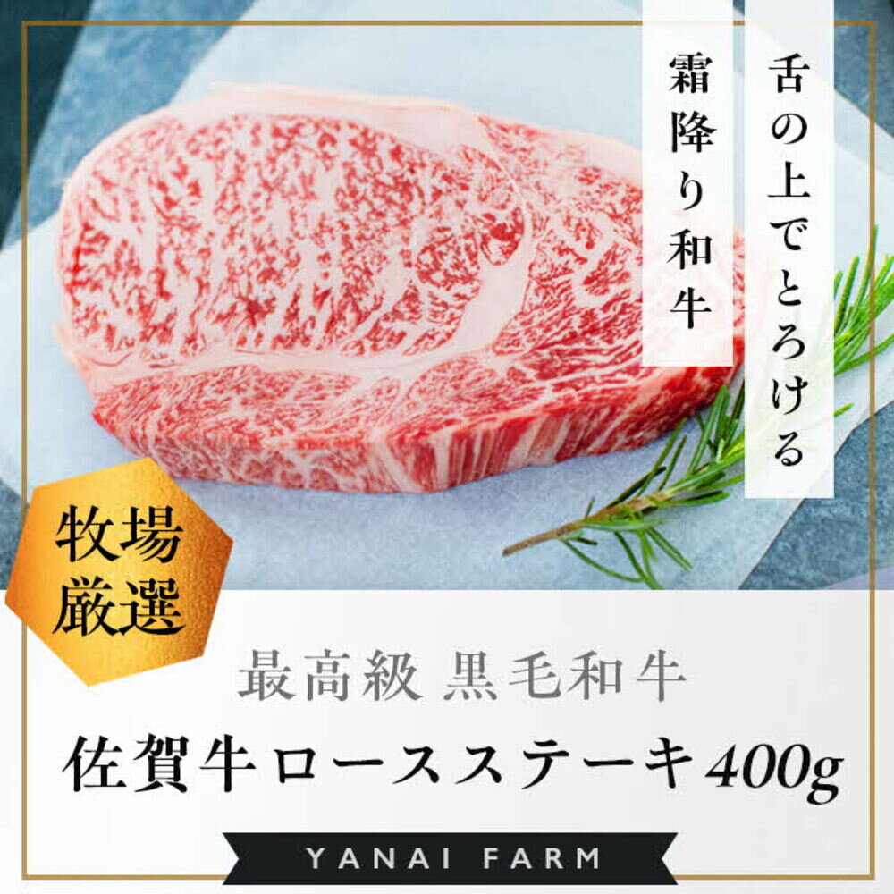 【ふるさと納税】《佐賀牛》「梁井」霜降りロースステーキ 2枚 400g【佐賀牛 霜降り肉 ロース肉 サシ ステーキ 肉汁 とろける やわらか 美味しい ブランド肉】 B4-R081017