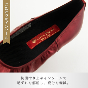 【22cm】ヒール高5cm 3WAYシリーズ最高峰ピアノシューズ アプロディーテ(ワイン) | ピアノシューズ 特許