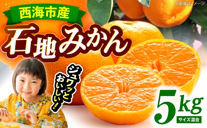 
                  【12月中旬より配送開始】 石地みかん 約5kg （サイズ混合） みかん ミカン ＜濱崎ファーム＞ [CGT003] 長崎 西海 みかん 蜜柑 ミカン 柑橘 果物 フルーツ デザート 石地みかん 贈答 ギフト 石地みかん
                