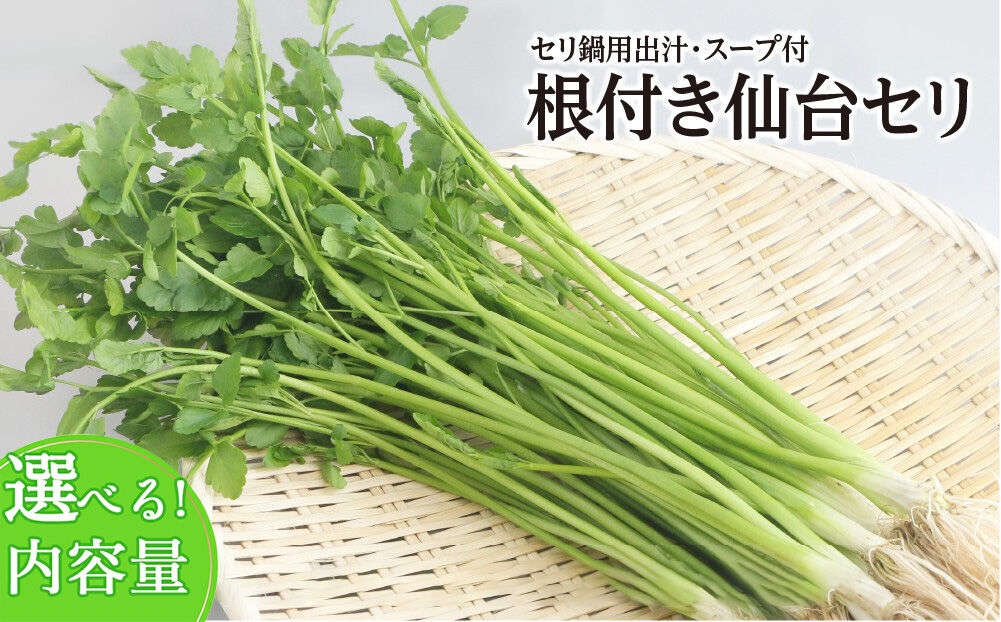 
                  【期間限定】根付き仙台セリ鍋出汁セット（セリ鍋用出汁・スープ付）【選べる種類 2～10人前】 [せり鍋 仙台名物 冬 ごちそう 惣菜 セリ]
                