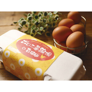 【ポロニ養鶏場】有精卵 計60個（10個×6パック）|  卵