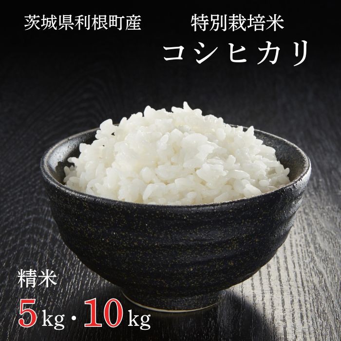 
                  利根町産【特別栽培米】コシヒカリ ／ お米 コメ こめ ごはん コシヒカリ 白米 精米 5kg 10kg 定期便 ／ お米 コメ こめ ごはん コシヒカリ 白米 精米 5kg 特別栽培 令和7年産 茨城県 利根町
                