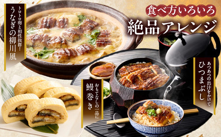 【春の丑の日までにお届け!!】うなぎ蒲焼特大2尾(さんしょう・たれ付き)計380g以上 鰻 魚 魚介 加工品 国産_T026-0061-US1