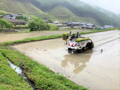 【定期便】令和７年産 お米 ５kg×３回 コシヒカリ 精米 兵庫県多可町産 [1238]