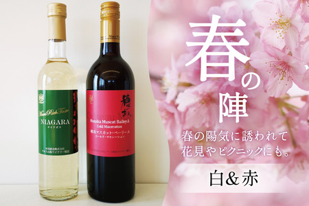 ワイン 赤 白 おまかせ 2本セット ソムリエ セレクト 日本ワイン ～春の陣～