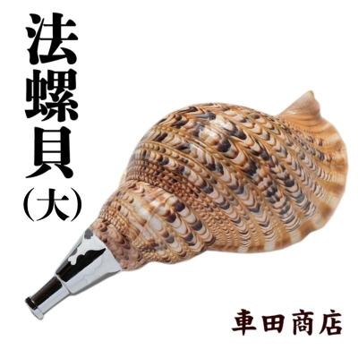 ふるさと納税 吉野町 法螺貝(大)《車田商店》