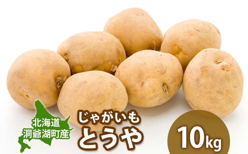 じゃがいも とうや 10kg  9月上旬～12月中旬までお届け ジャガイモ 芋 甘い なめらか しっとり ポタージュ カレー 調理 料理 煮込み料理 旬 季節 農作物 野菜 根菜 北海道 とうや湖農業協同組合