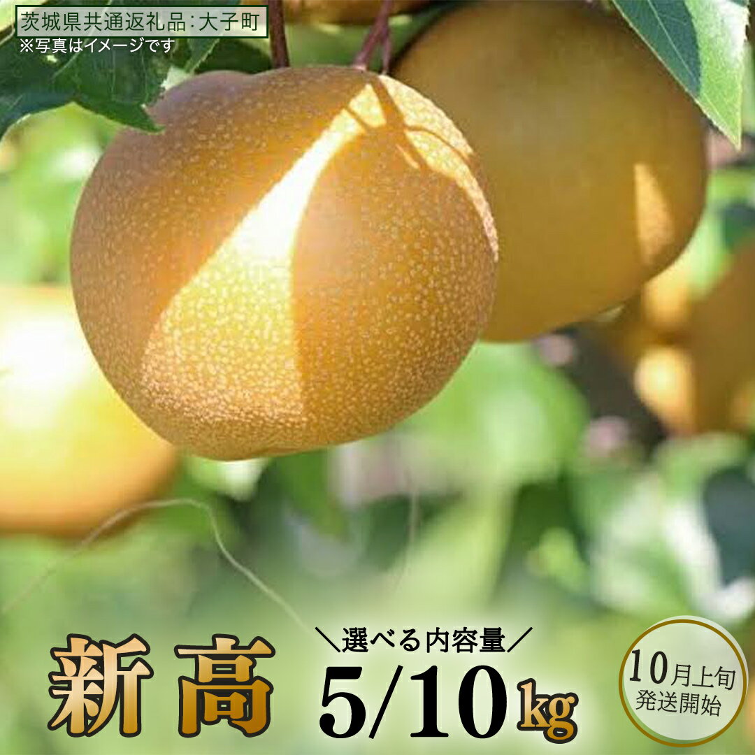 【ふるさと納税】《 選べる 内容量 》 新高 約5kg / 約10kg 【2026年10月上旬発送開始】(茨城県共通返礼品：大子町) 梨 なし 果物 くだもの フルーツ にいたか