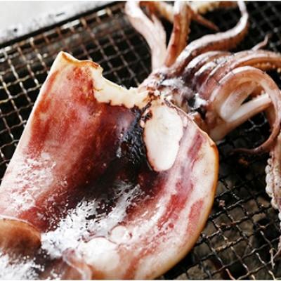 ふるさと納税 宮津市 日本海産　柔らか肉厚のスルメイカ一夜干し(大)3枚　【冷蔵】 |  | 01