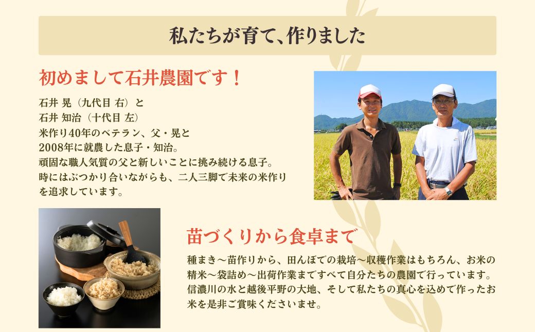 令和8年産新米先行予約 コシヒカリ 白米・玄米 食べ比べセット 白米5kg、玄米5kg | 新潟県 弥彦村  石井農園