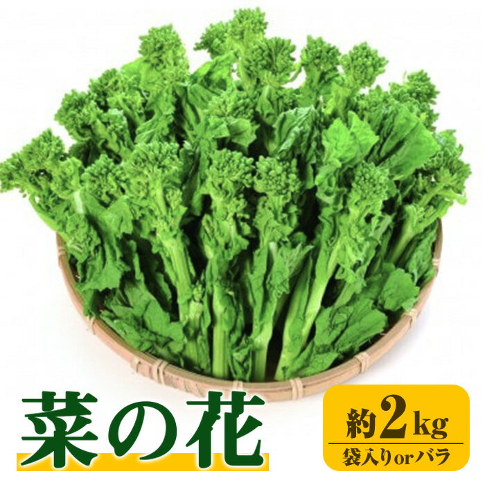 【ふるさと納税】＜選べる＞＜期間限定！2025年12月中旬以降順次発送予定＞菜の花(約2kg/袋入り・バラ) なの花 春 春野菜 野菜 産地直送 新鮮 香川 香川県 特産 果物 ベジタブル 旬 人気 お取り寄せ 新登場 【man356】【Aglio nero】