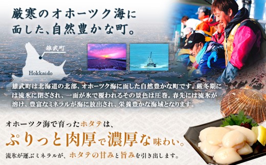 【関東限定！生ほたて】《期間限定》北海道雄武産 生玉ほたて300g×2 塩水パック(冷蔵)