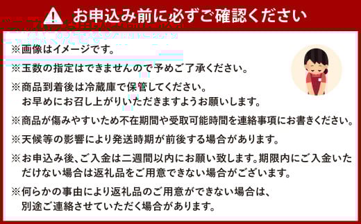 福岡県産 博多秋王【優等品】 計約7.0kg以上【約3.5kg以上（8玉～12玉入り） ×2箱】