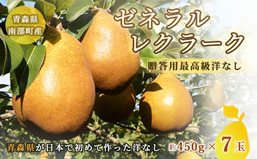 高級 ゼネラルレクラーク (洋梨) 約3kg (約450g×7個)【泉山果樹園】 ゼネラル レクラーク 洋ナシ なし 青森県 南部町 フルーツ 果物 くだもの 年内発送 F21U-063