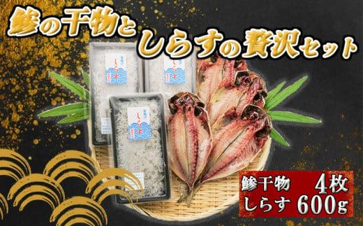 アジ 干物 4枚 しらす 200g 3個 600g セット