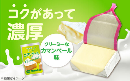 ベビーチーズブレンド カマンベール100個[AQCM006]  チーズ チーズ チーズ チーズ チーズ