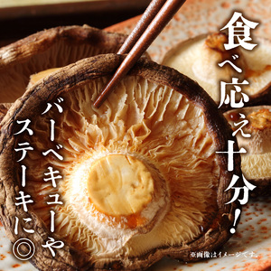 F07016　大分県産椎茸　香菇　逸品　IP-A