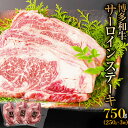 【ふるさと納税】博多和牛　サーロインステーキ　750g お取り寄せグルメ お取り寄せ 福岡 お土産 九州 福岡土産 取り寄せ グルメ 福岡県