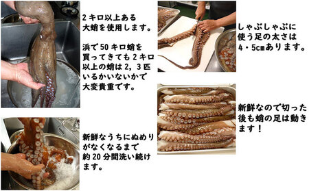 明石ダコのたこしゃぶ 6人前 タコ 魚貝類 加工食品 